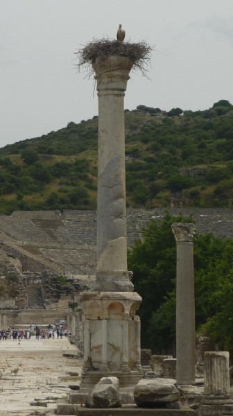 Ephesus9